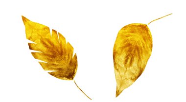 Beyaz arka planda suluboya yapraklar. Ayarla