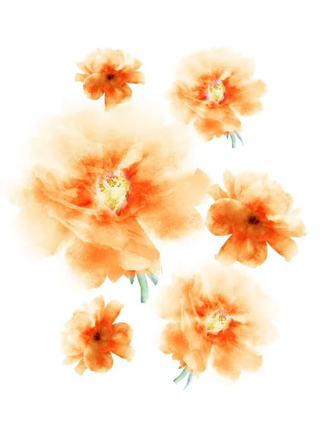 Akvarelové Květiny Jako Skupina Izolované Bílém Pozadí — Stock fotografie