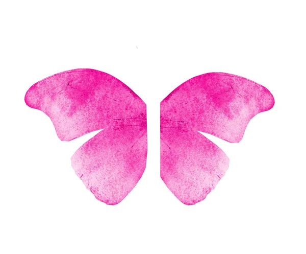 Akvarel Motýl Křídla Izolované Bílém Pozadí — Stock fotografie