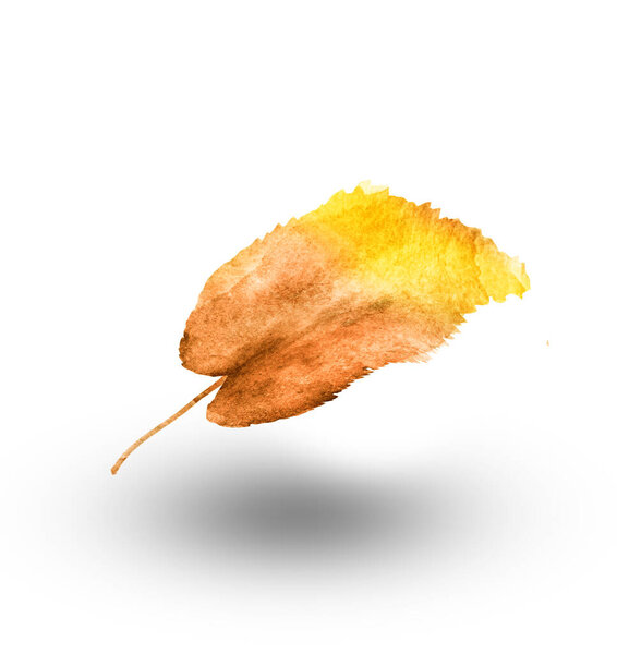Watercolor leaf on the white background