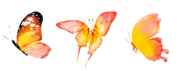Drei Aquarell Schmetterlinge Isoliert Auf Weißem Hintergrund — Stockfoto