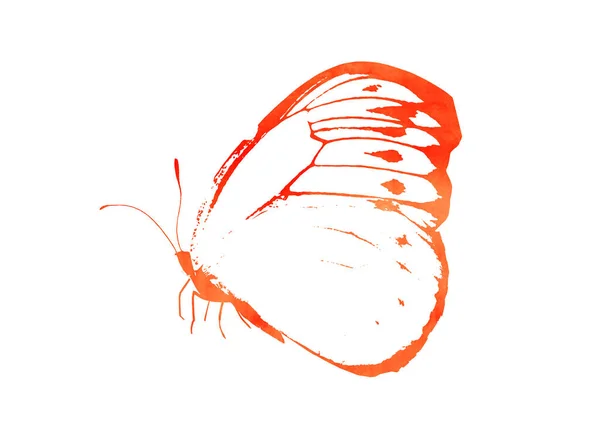 Color Acuarela Mariposa Abstracta Como Impresión Aislado Sobre Fondo Blanco — Foto de Stock