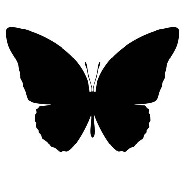 Kelebek simgesi, beyaz arkaplanda izole