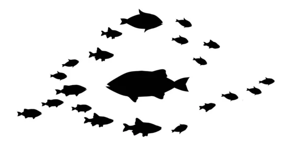 Beyaz Balık Gruplarının Siluetleri — Stok fotoğraf