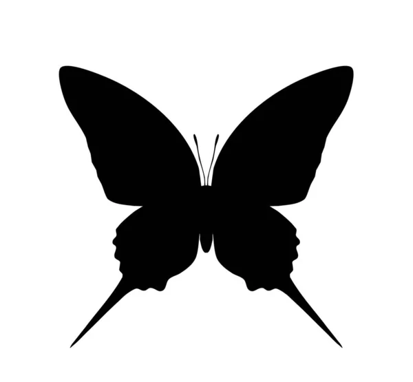 Icono Vector Mariposa Aislado Blanco — Vector de stock