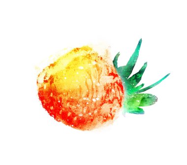 Beyaz arkaplanda suluboya Çilek