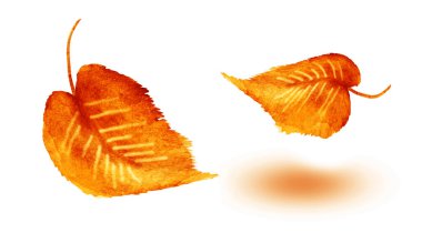 Beyaz arka planda suluboya yapraklar. Ayarla