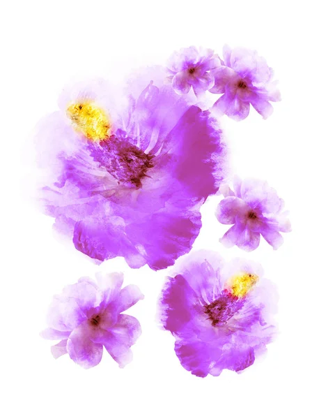 Akvarell Blommor Som Grupp Isolerad Vit Bakgrund — Stockfoto