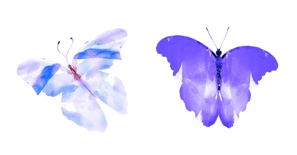 Две Акварельные Бабочки Изолированные Белом Фоне Яркая Коллекция — стоковое фото