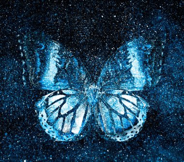 Kelebekli, yıldızlı gökyüzü