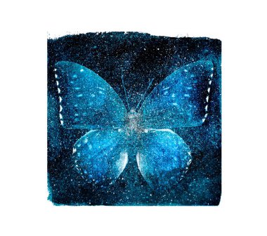 Arka planda beyaz kelebek olan suluboya kozmos karesi