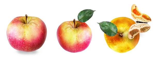 Color Apples White Background — Stock Photo, Image