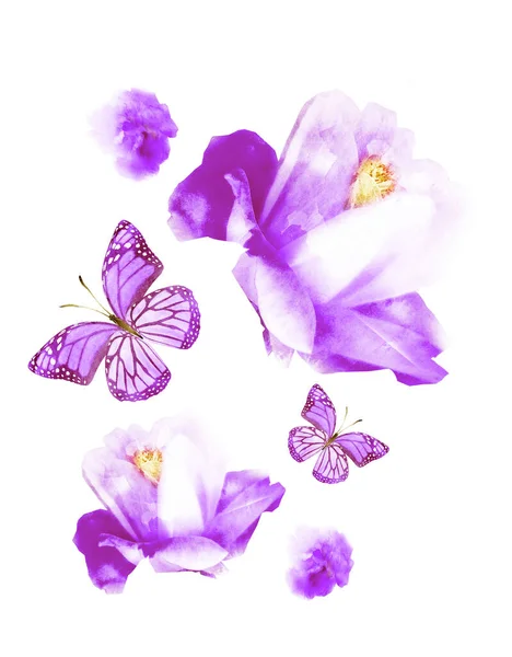Акварельні Квіти Метелики Група Ізольовані Білому Тлі — стокове фото