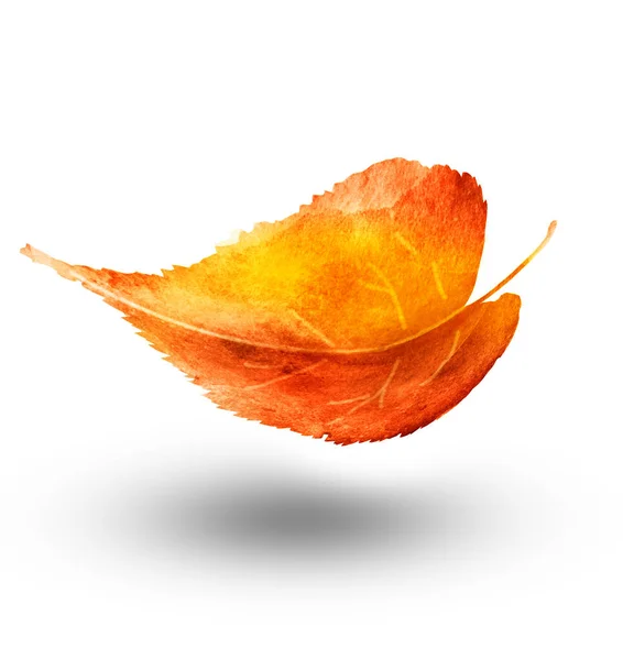 Watercolor Leaf White Background — Stock Photo, Image