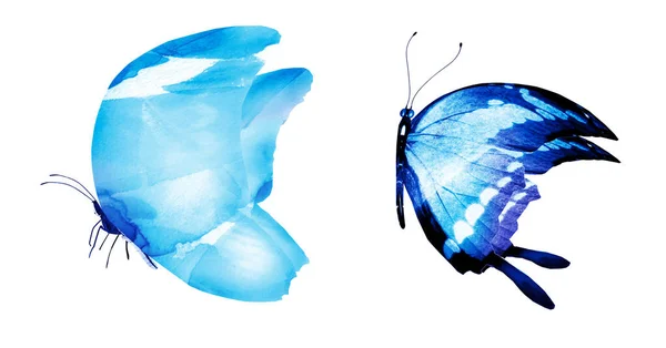 Two Watercolor Butterflies Isolated White Background Bright Collection — Stock Photo, Image