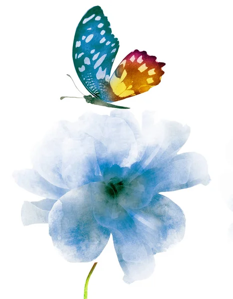 Υδατογραφία Λουλούδι Πεταλούδα Απομονώνονται Λευκό Φόντο — Φωτογραφία Αρχείου
