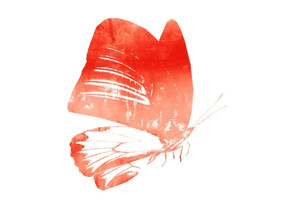 Färg Akvarell Abstrakt Fjäril Isolerad Vit Bakgrund — Stockfoto