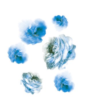 Grup olarak suluboya çiçekler, beyaz arkaplanda izole