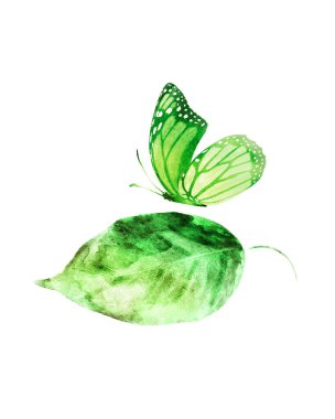 Beyaz arka planda kelebek olan suluboya yaprak