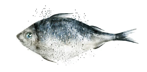Akvarell Fisk Vit Bakgrund — Stockfoto