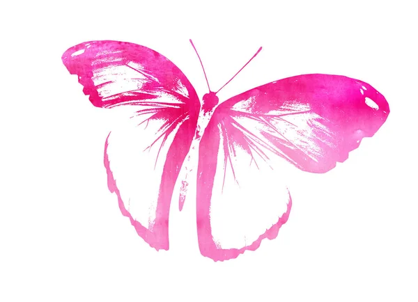 Kolor Akwarela Abstrakcyjny Motyl Jako Nadruk Izolowane Białym Tle — Zdjęcie stockowe