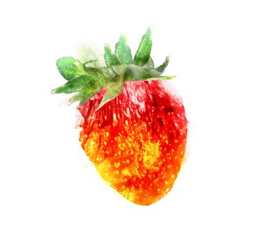 Beyaz arkaplanda suluboya Çilek