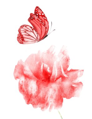 Kelebekli suluboya çiçek, beyaz arka planda izole