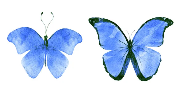 白い背景に隔絶された2羽の水彩蝶 明るいコレクション — ストック写真