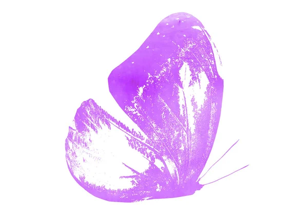 Color Acuarela Mariposa Abstracta Como Impresión Aislado Sobre Fondo Blanco —  Fotos de Stock