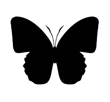 Kelebek siyah simgesi, beyaz üzerine izole