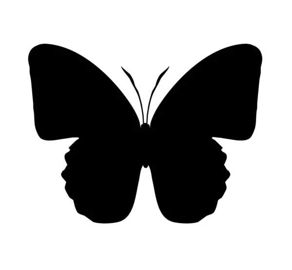 Icono Negro Mariposa Aislado Blanco — Foto de Stock