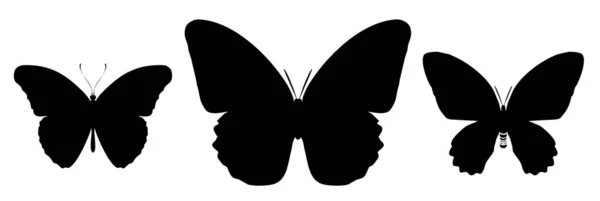 Tres Mariposas Negras Aisladas Sobre Fondo Blanco — Vector de stock