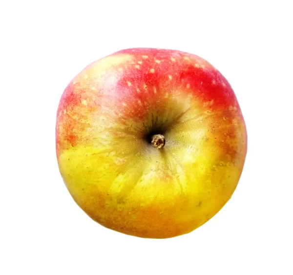 Farbe Apfel Auf Weißem Hintergrund — Stockfoto