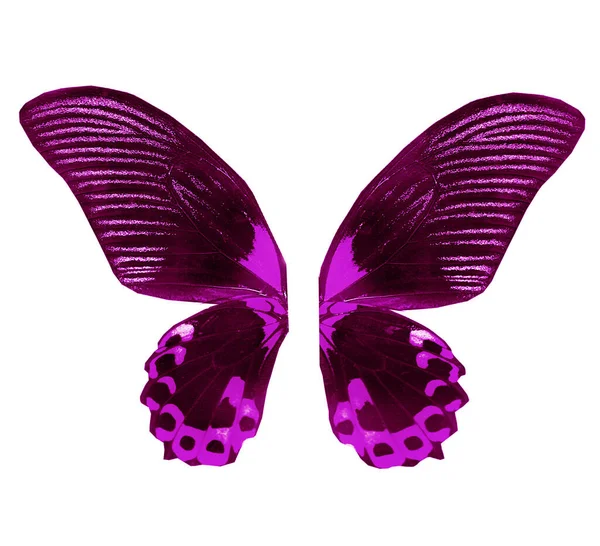 Farbe Schmetterlingsflügel Isoliert Auf Weißem Hintergrund — Stockfoto