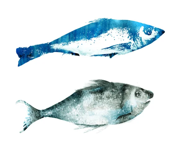 Aquarel Vissen Witte Achtergrond — Stockfoto