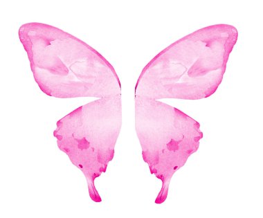 Beyaz arka planda izole edilmiş suluboya kelebek kanatları