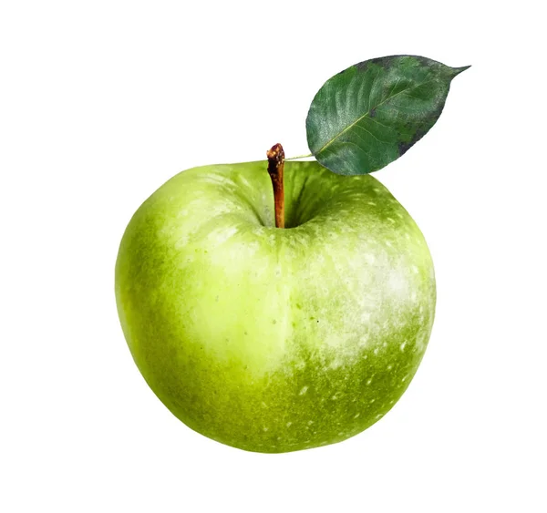 白色背景的彩色苹果 — 图库照片