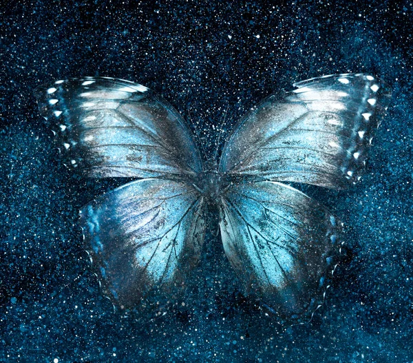 Univers Ciel Étoilé Avec Papillon — Photo