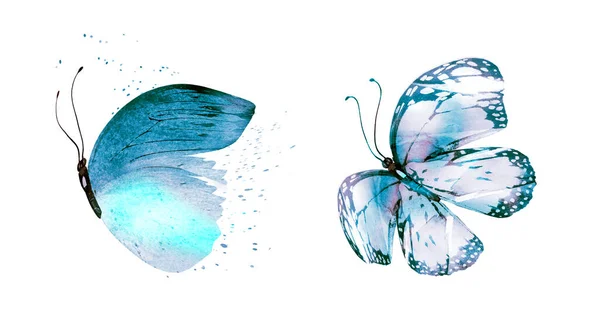 Две Акварельные Бабочки Изолированные Белом Фоне Яркая Коллекция — стоковое фото