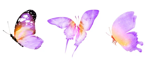 Три Бабочки Акварелью Изолированные Белом Фоне — стоковое фото