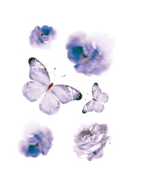 Beyaz arka planda izole edilmiş suluboya çiçekler ve kelebekler.