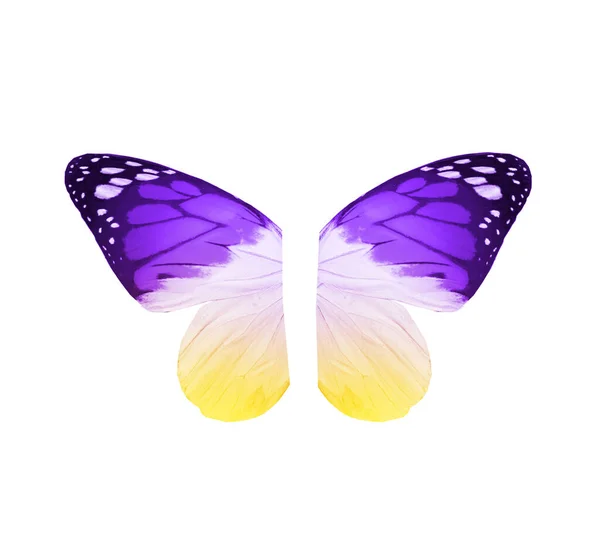 Ali Farfalla Colore Isolate Sfondo Bianco — Foto Stock