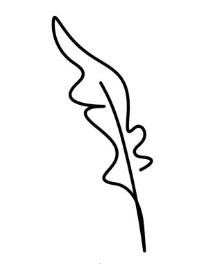 Soyut tüy silueti beyaz üzerine çizgi çizer gibi