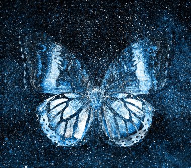 Kelebekli, yıldızlı gökyüzü