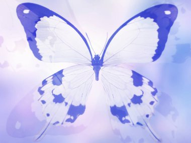 Doğal arkaplan ve doğal kelebek