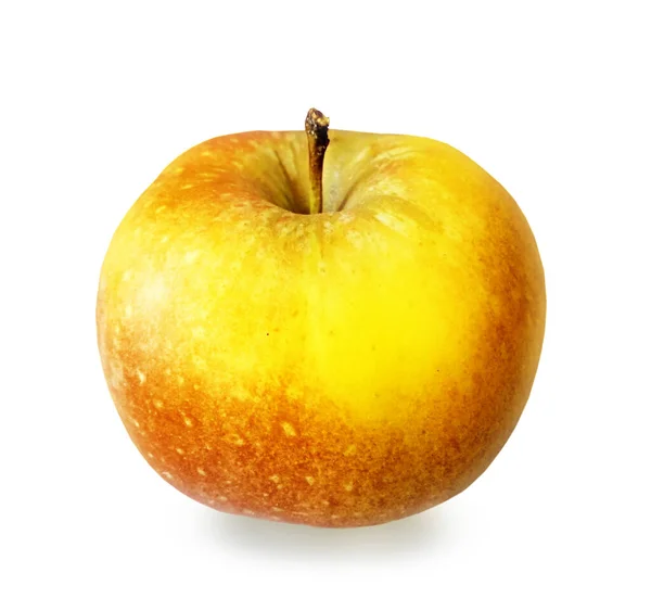 白色背景的彩色苹果 — 图库照片