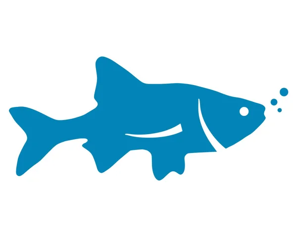 Silhueta Azul Peixe Sobre Fundo Branco — Fotografia de Stock