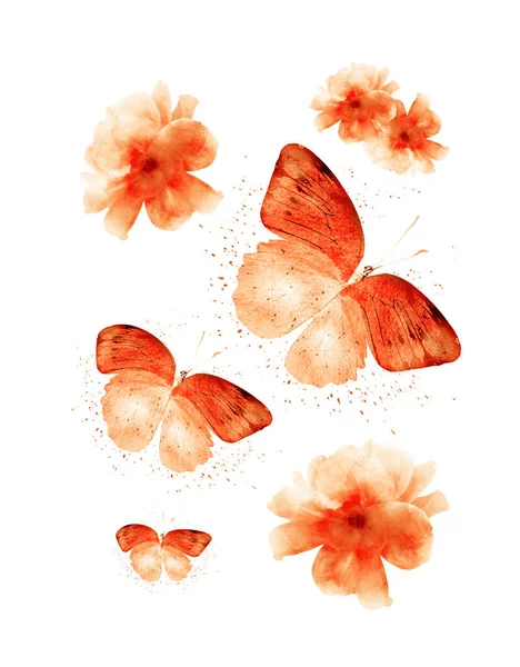 Акварельные Цветы Бабочки Группе Изолированные Белом Фоне — стоковое фото