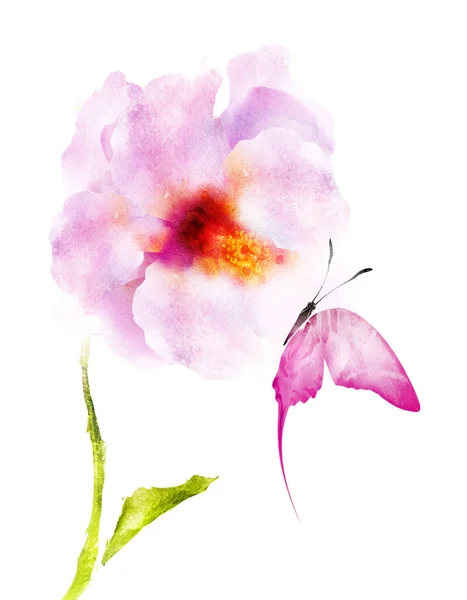 Акварельна Квітка Метеликом Ізольована Білому Тлі — стокове фото