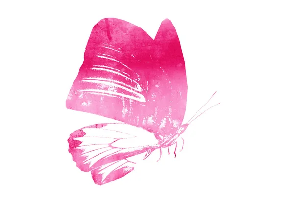 Цвет Акварели Абстрактная Бабочка Изолированные Белом Фоне — стоковое фото